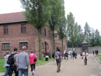 /album/galeria-12-auschiwitz-polonia/bild-364-jpg/